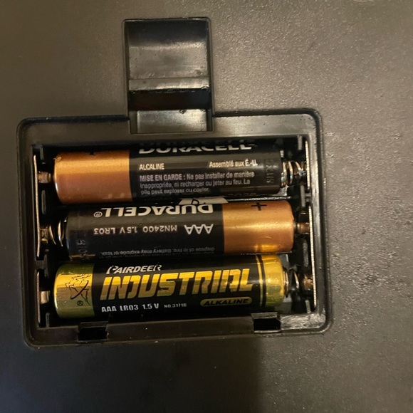 Small pink scale - Picture 5 of 7